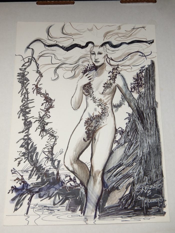 John Totleben and Steve Bissett Original Art Drawing of Abby from Swamp Thing