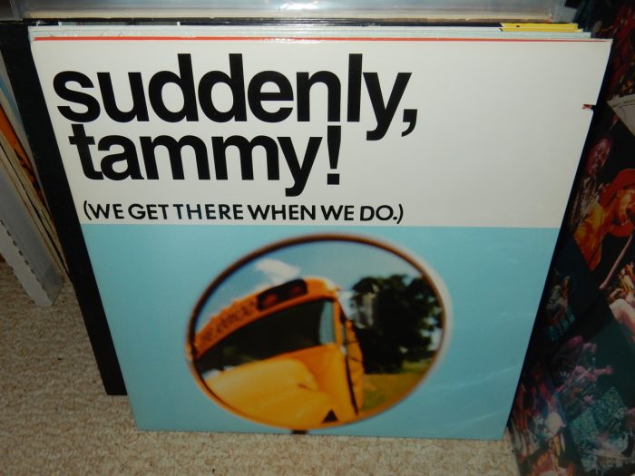 Suddenly, Tammy! – (We Get There When We Do) Vinyl LP Record 1995
