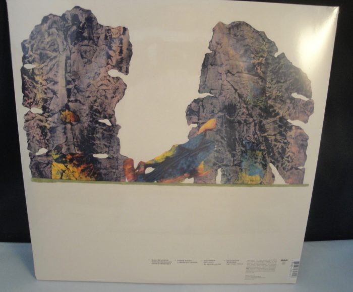 Grizzly Bear - Painted Ruins - 180 Gram Vinyl, Gatefold Jacket, 2XLP, 2017