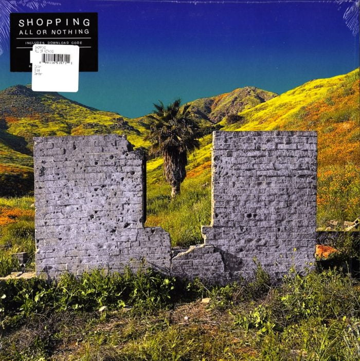 Shopping - All Or Nothing - Vinyl, LP, Fat Cat, 2020