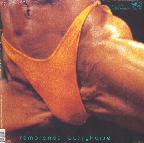 Butthole Surfers - Rembrandt Pussyhorse - Vinyl, LP, Reissue, Latino Bugger Veil, 2013