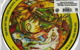 King Gizzard And The Lizard Wizard, Teenage Gizzard, Picture Disc, Vinyl, LP, Org Music, 2022