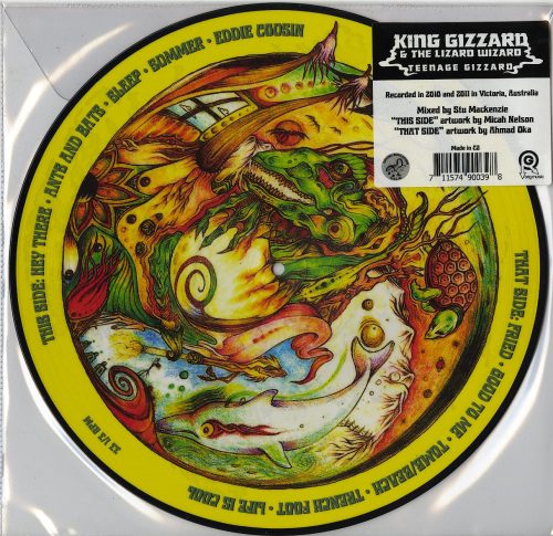 King Gizzard And The Lizard Wizard, Teenage Gizzard, Picture Disc, Vinyl, LP, Org Music, 2022